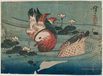 deux canards Keisai, japonais Peinture à l'huile